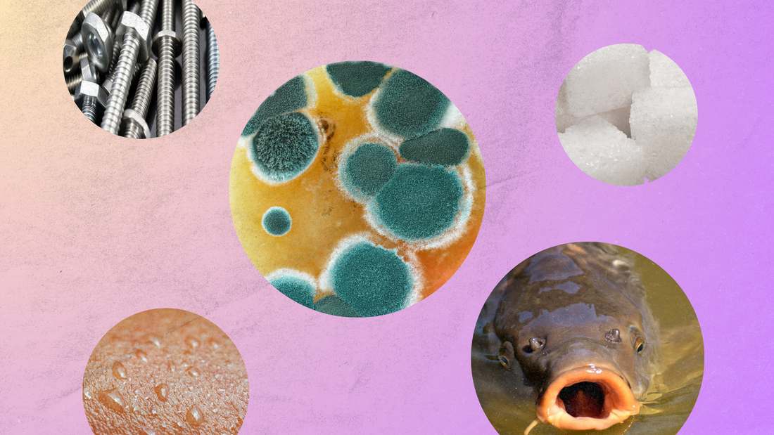 Gli odori della tua vagina sono sospetti?