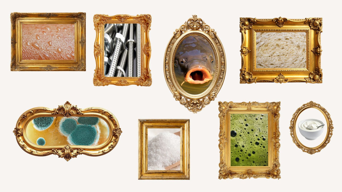 Gli odori della tua vagina sono sospetti?