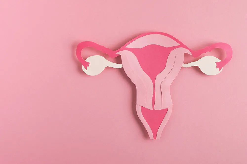 Menopausa perché parlarne (e non solo tra donne)